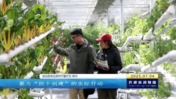 守护美丽山河 让乡村振兴的生态底色更浓厚