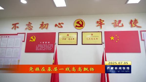 【党旗在基层一线高高飘扬】西藏自治区经济和信息化厅第一党支部：党建引领风帆劲 砥砺奋进正当时