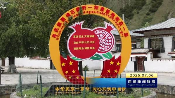 林芝：“村级帮办员”架起服务群众“连心桥”