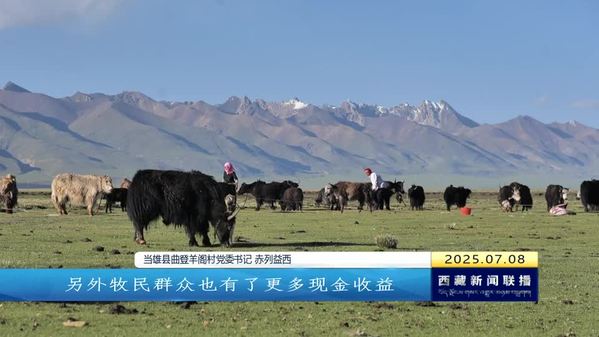 【庆祝西藏自治区成立60周年大型新闻行动 74县行记·新貌】当雄县：“点绿成金”厚植高质量发展底色