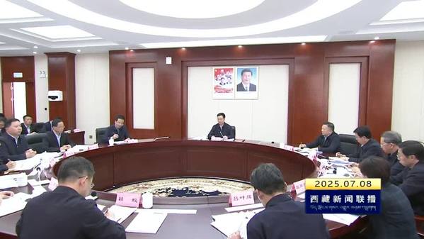 王君正在西藏自治区党委组织部调研