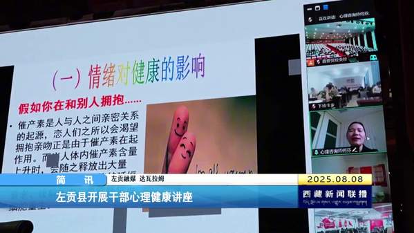 左贡县开展干部心理健康讲座