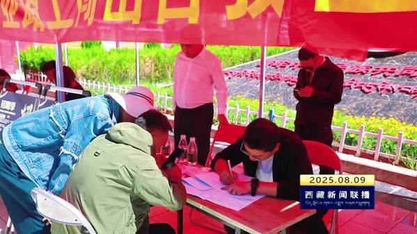 桑日县举办2025年夏季就业援藏专场招聘会