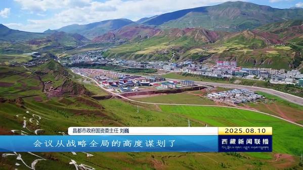 用奋斗描绘现代化新图景——西藏自治区党委十届八次全会精神在全区党员干部群众中引发强烈反响