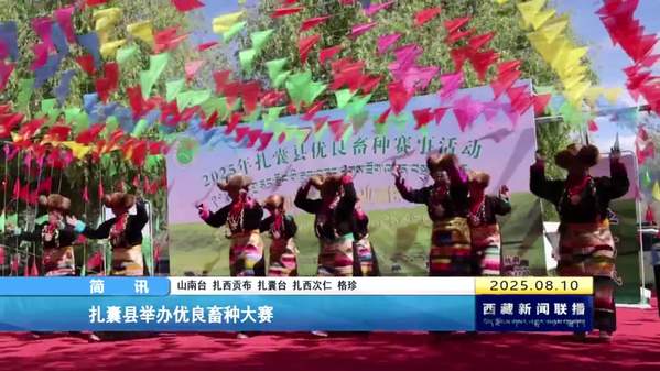 扎囊县举办优良畜种大赛