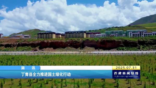 丁青县全力推进国土绿化行动