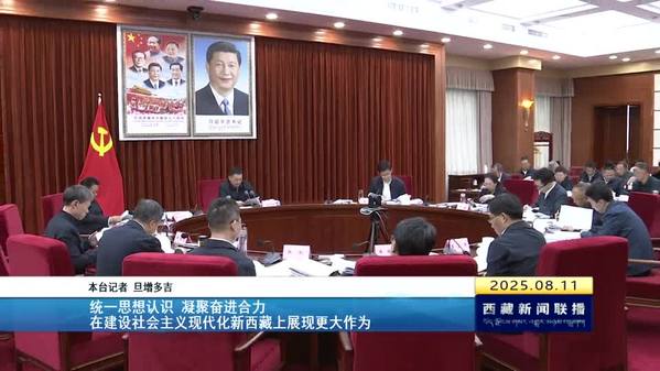 嘎玛泽登：统一思想认识 凝聚奋进合力 在建设社会主义现代化新西藏上展现更大作为