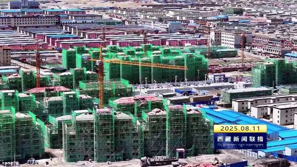 那曲市2025 年上半年招商引资工作成效明显