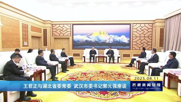 王君正与湖北省委常委 武汉市委书记郭元强座谈