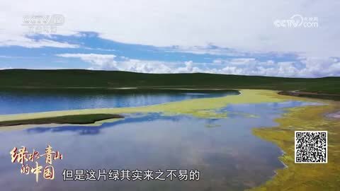 【绿水青山的中国】青海：从黑土滩到绿草原 解码三江源生态重生