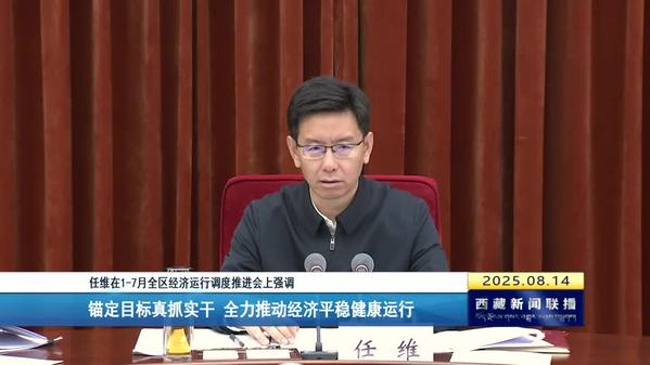 任维在1-7月全区经济运行调度推进会上强调：锚定目标真抓实干 全力推动经济平稳健康运行