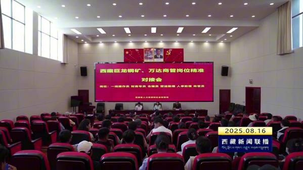 巴宜区开展岗位精准对接会 搭建就业桥梁