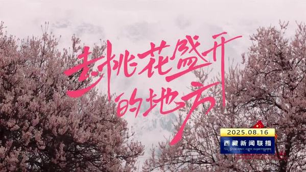 西藏自治区首部当代现实题材微短剧《去桃花盛开的地方》开播