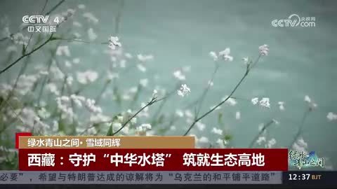 【绿水青山之间·雪域同辉】青海玛多：从沙化到湖群 三江源高原的生态逆转