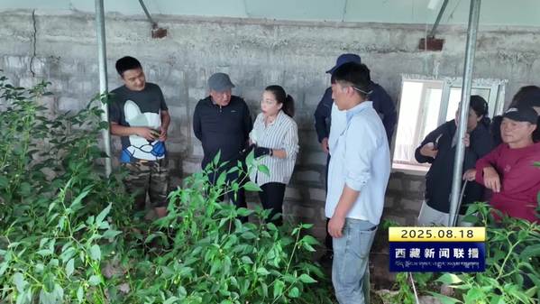 西藏自治区农科专家赴俄洛镇开展科技培训