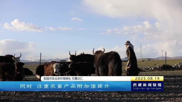 【“西藏自治区成立60周年”系列主题新闻发布会】那曲经济稳中向好 羌塘儿女凝心聚力