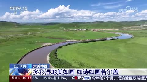【大美中国】多彩湿地美如画 如诗如画若尔盖