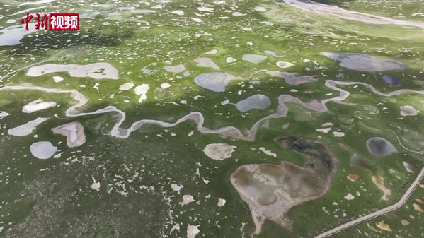 【澜湄印象】青海杂多县查旦湿地：河流纵横的“青藏水乡”