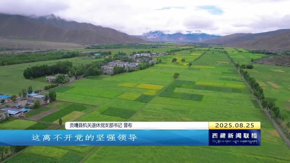 铭记历史感恩今朝 团结奋进建功新征程
