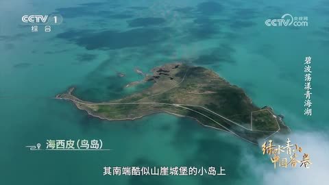《绿水青山中国答卷》碧波荡漾青海湖