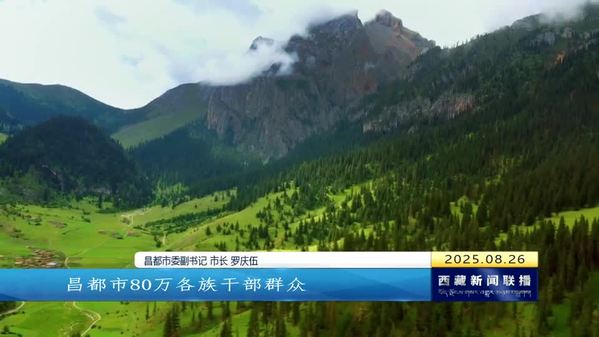 聚焦“四件大事”聚力“四个创建” 牢记嘱托再谱发展新篇