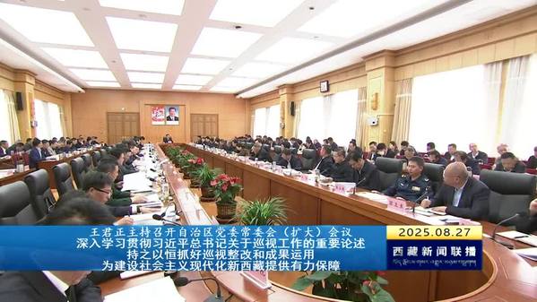 王君正主持召开自治区党委常委会（扩大）会议 深入学习贯彻习近平总书记关于巡视工作的重要论述