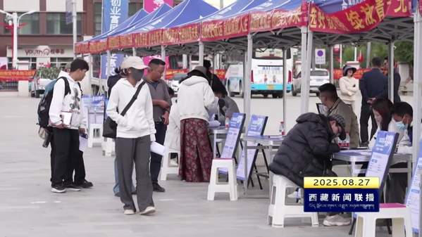 西藏自治区2025年百日千万专项行动定日县专场招聘会举办