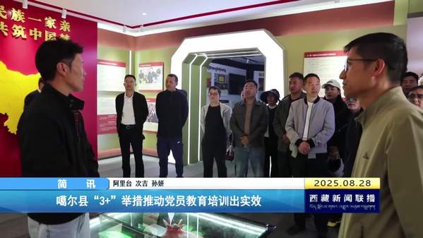 噶尔县“3+”举措推动党员教育培训出实效