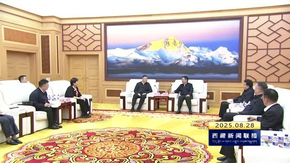 王君正与中国文联党组书记张政一行座谈