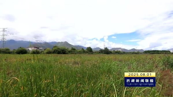 拉鲁湿地巡护道焕新升级 今天起对外开放