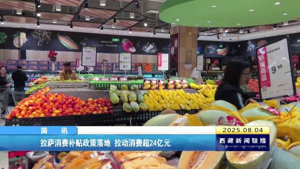拉萨消费补贴政策落地 拉动消费超24亿元