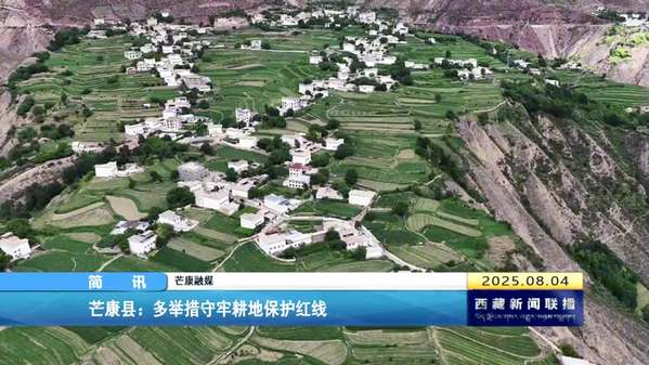芒康县：多举措守牢耕地保护红线