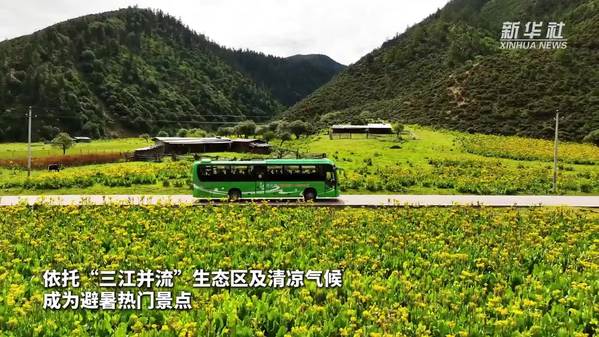 香格里拉暑期旅游热度持续攀升
