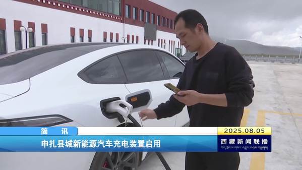 申扎县城新能源汽车充电装置启用