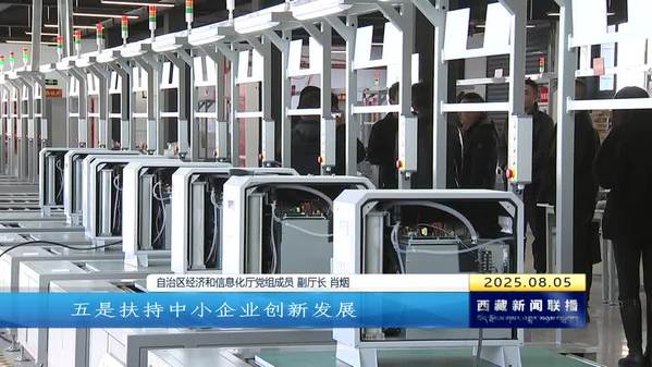 西藏自治区出台《西藏自治区支持中小企业高质量发展若干措施》