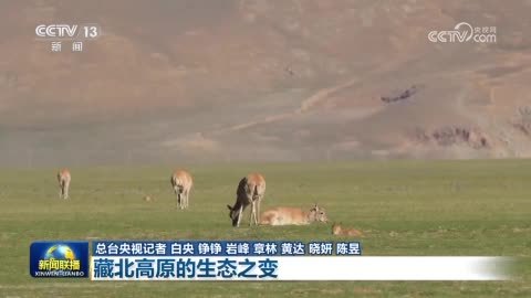 【辉煌60载_魅力新西藏】藏北高原的生态之变
