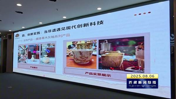 第十四届中国创新创业大赛西藏赛区入围赛落幕