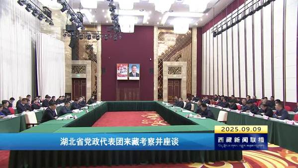 湖北省党政代表团来藏考察并座谈