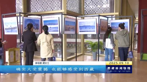 “天上西藏・鹤鹤有鸣” 黑颈鹤主题摄影展巡展开展