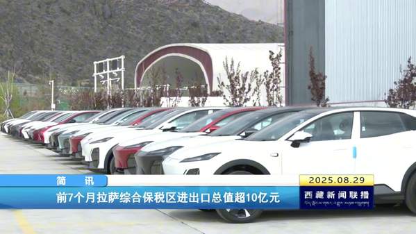 前7个月拉萨综合保税区进出口总值超10亿元