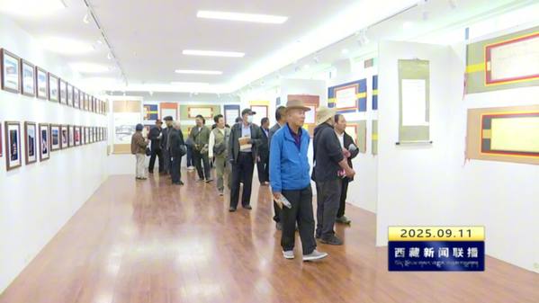 “银龄心向党·墨影谱华章”书画摄影作品展昌都展区开幕