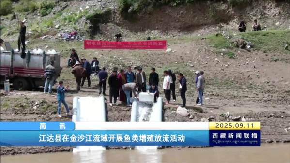 江达县在金沙江流域开展鱼类增殖放流活动