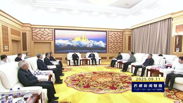 王君正与王勇带队的全国政协党外委员考察团座谈