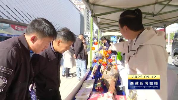 西藏自治区举办2025年“质量月”主题宣传活动