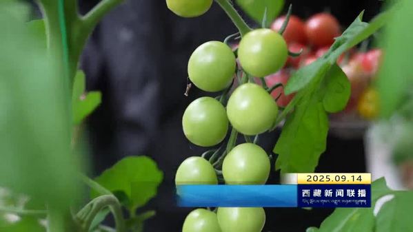 繁花似锦游人醉 硕果盈枝采撷忙