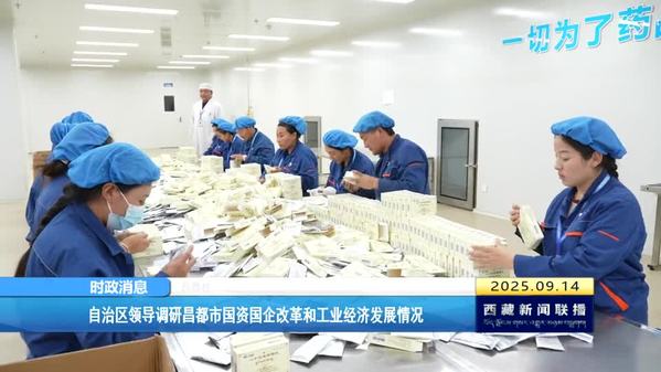 西藏自治区领导调研昌都市国资国企改革和工业经济发展情况