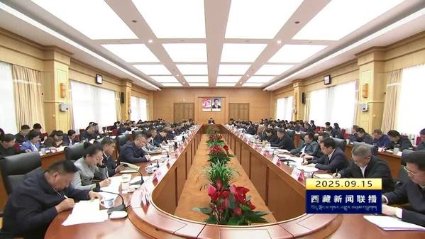 王君正在自治区党委党的建设工作领导小组会议上强调：深入贯彻习近平总书记关于加强党的作风建设的重要指示 巩固拓展学习教育成果 推动作风建设常态化长效化