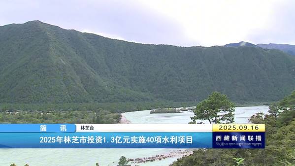 2025年林芝市投资1.3亿元实施40项水利项目