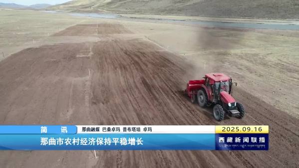 那曲市农村经济保持平稳增长