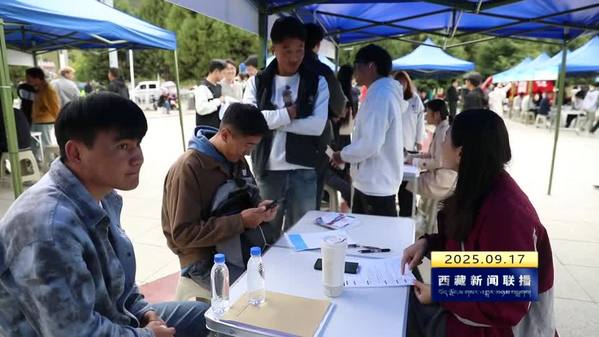 2025年全國城市巡回招聘林芝站專場活動舉行